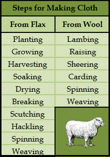 Steps to Make Wool