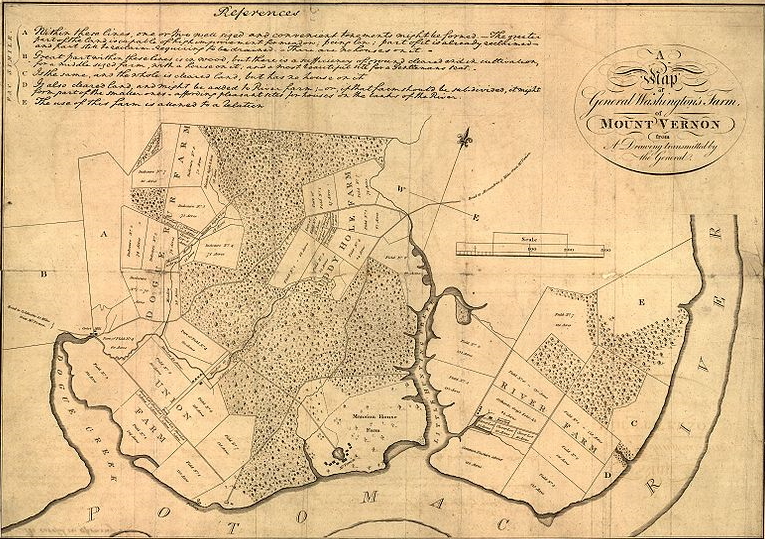 Survey Map of Mt. Vernon